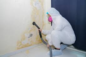 Mold Remediation for Vacation Homes in Pleasure Point, CA